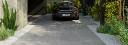 Vigor 20